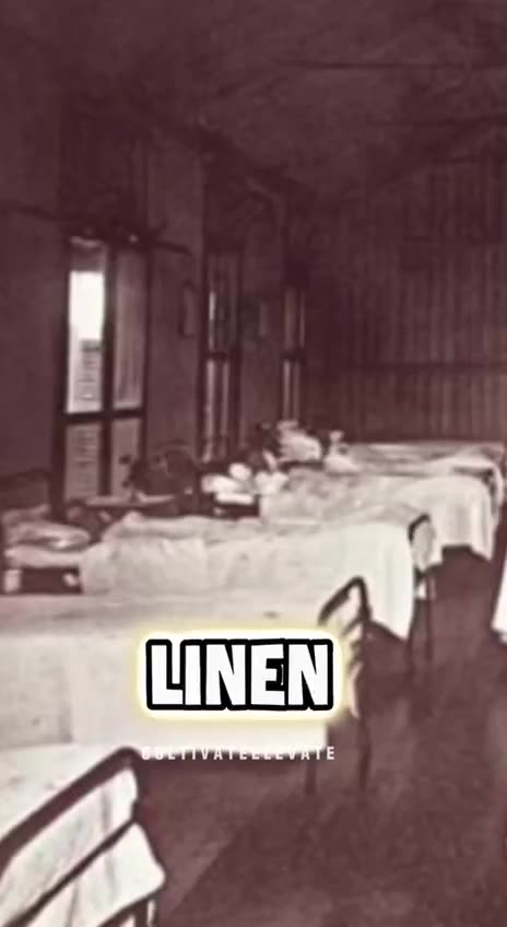 Linen❤️❤️❤️