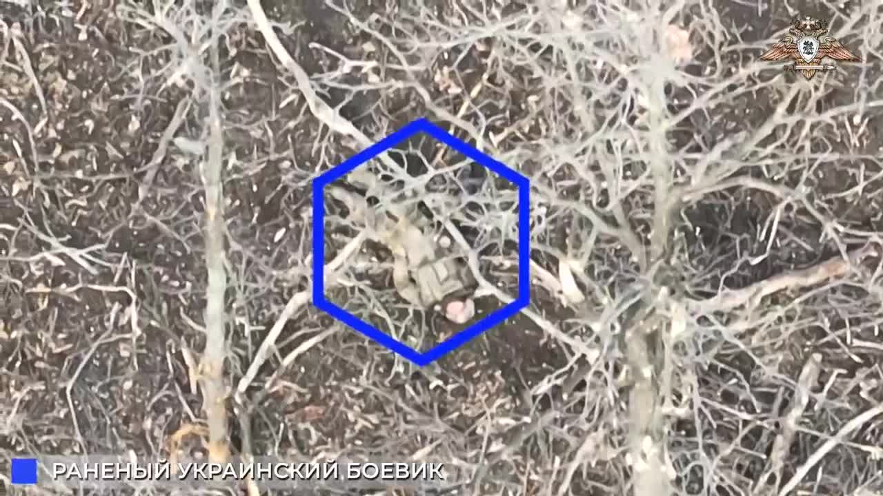 Russian Artillery Strikes on the Ukrainian positions