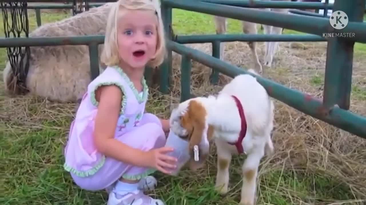 top funny moment