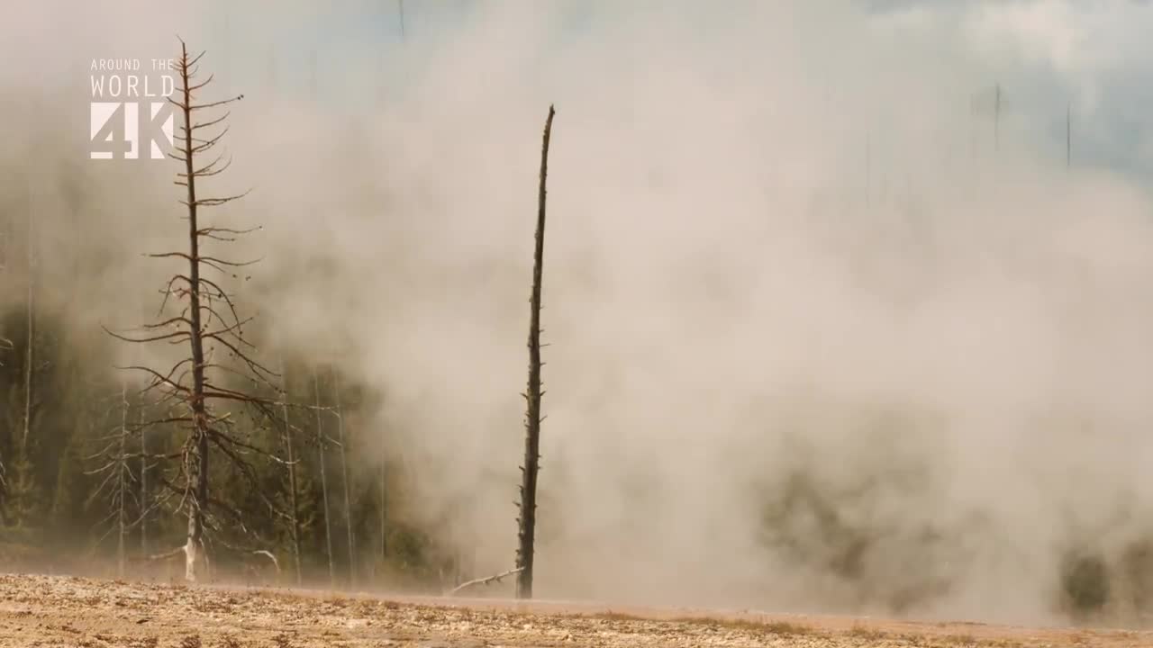 Yellowstone National Park 4K