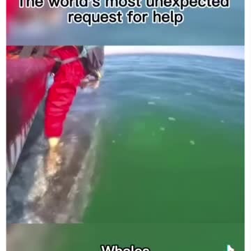 Humanity is good🙏🏻❤️😭