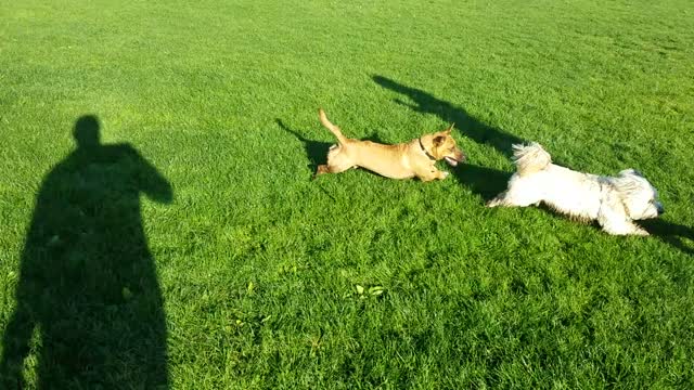 Jack and friend at the park