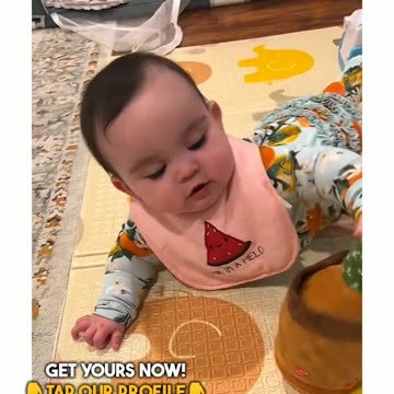 Adorable Moments with Dancing Cactus