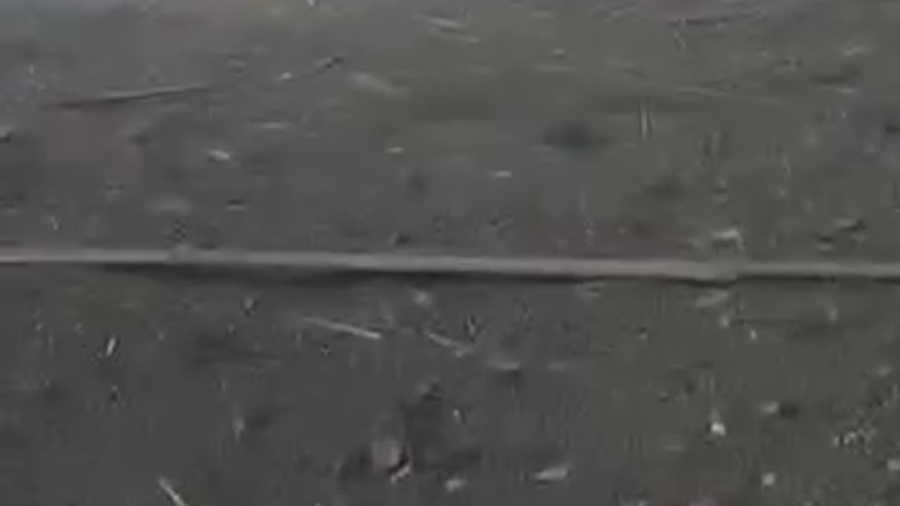 +18 Disturbing Video showing dead and wounded