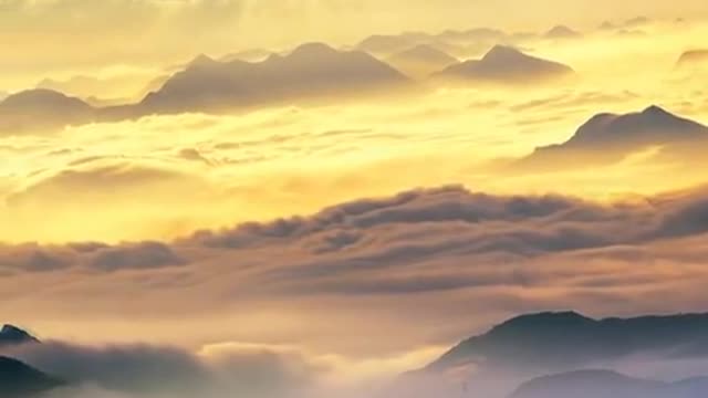 One's life is always waiting#nature #pretty #landscape #scenery #foryou