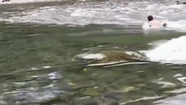 Bening bgt sungai nya,ini masih di indonesia ya guys