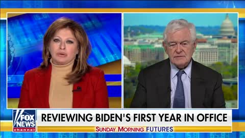 Newt Gingrich: Democrats are ‘running over people’s civil liberties’