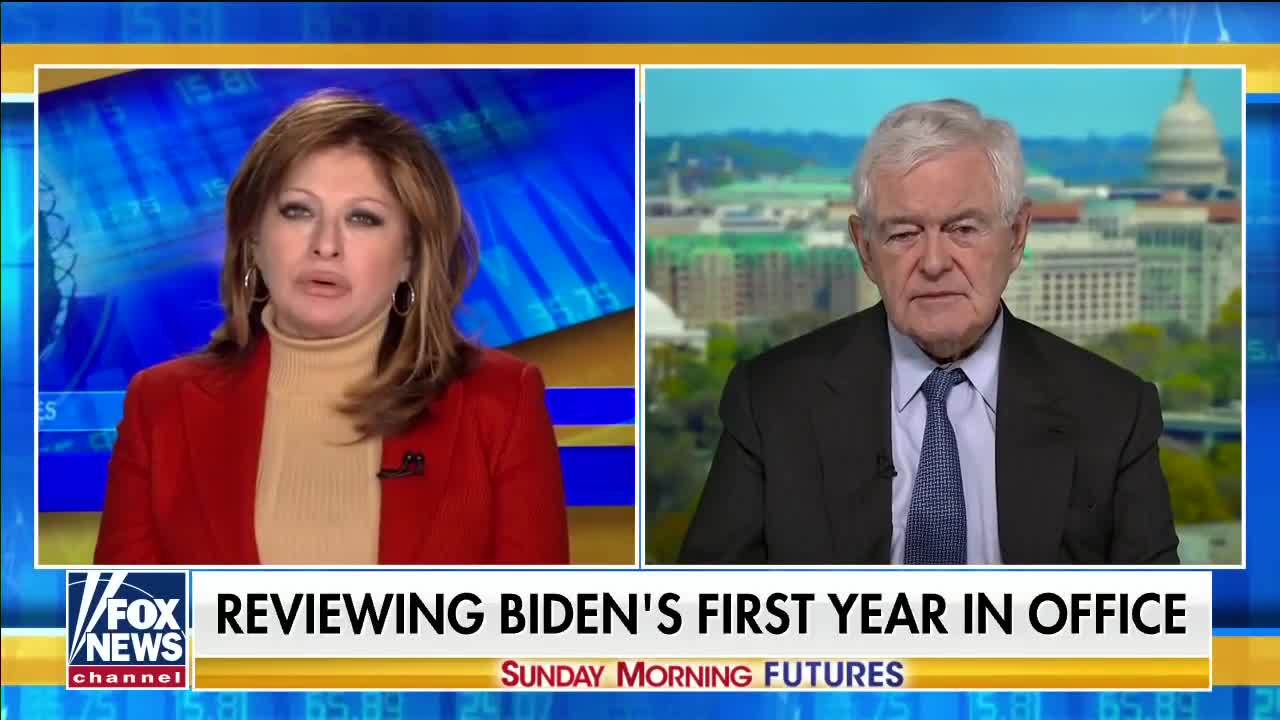 Newt Gingrich: Democrats are ‘running over people’s civil liberties’