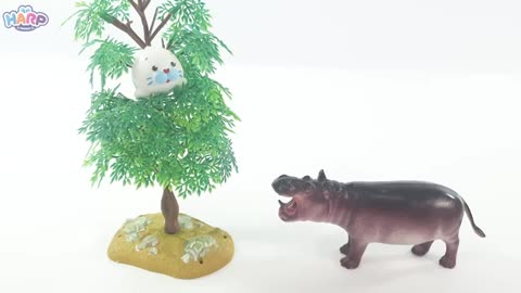 Animal friends video for baby's