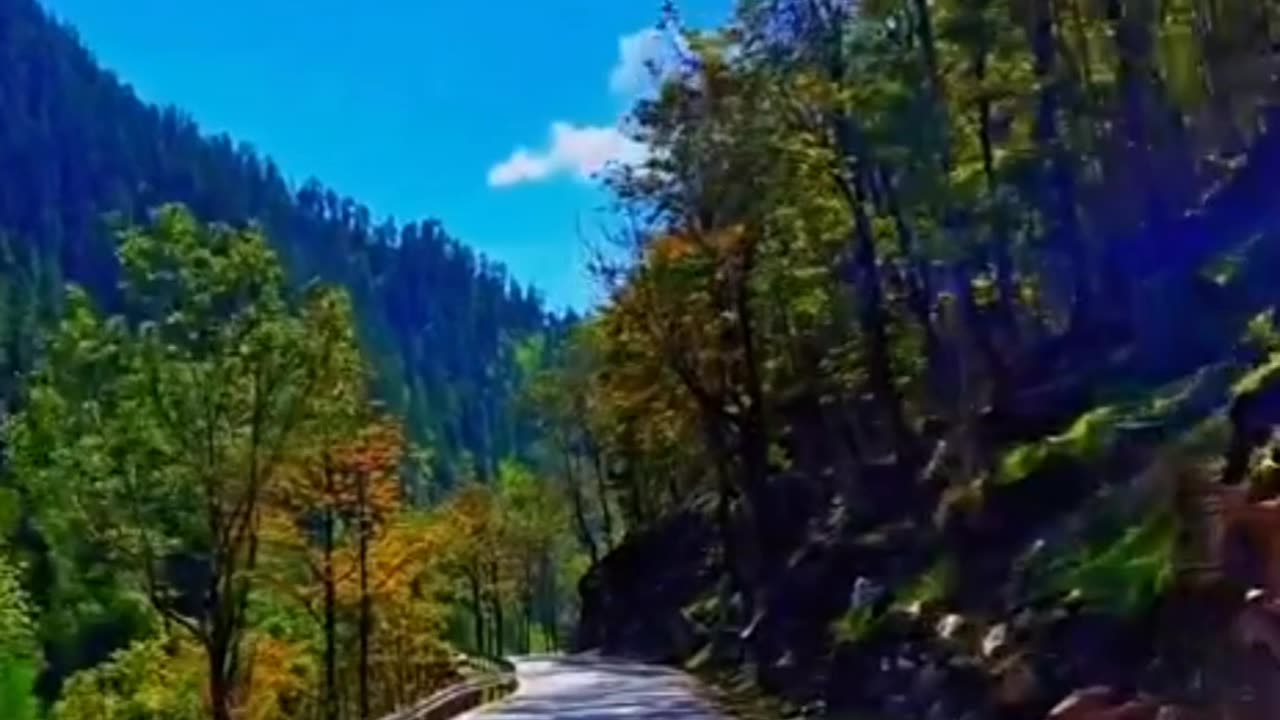 Natural Beauty Of Nathia Gali