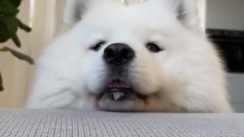 Hiii🥰