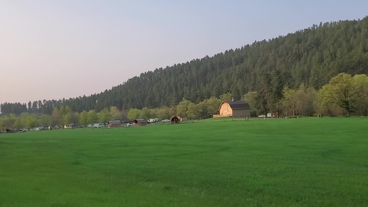 Welcome to Custer State Park!