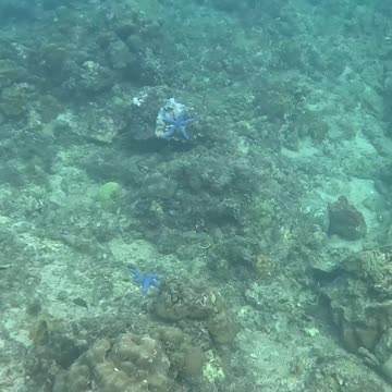 A Snorkeling Adventure