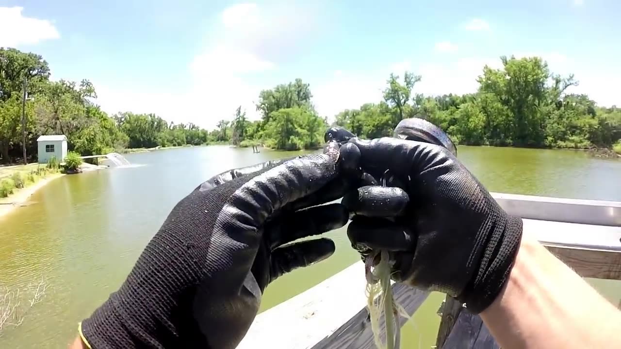 MAGNET FISHING POPULAR DOCKS and FINDING EVERYTHING!