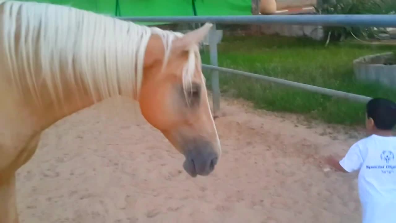 Boy With Williams Syndrome Forms Incredible Bond With Young Horse