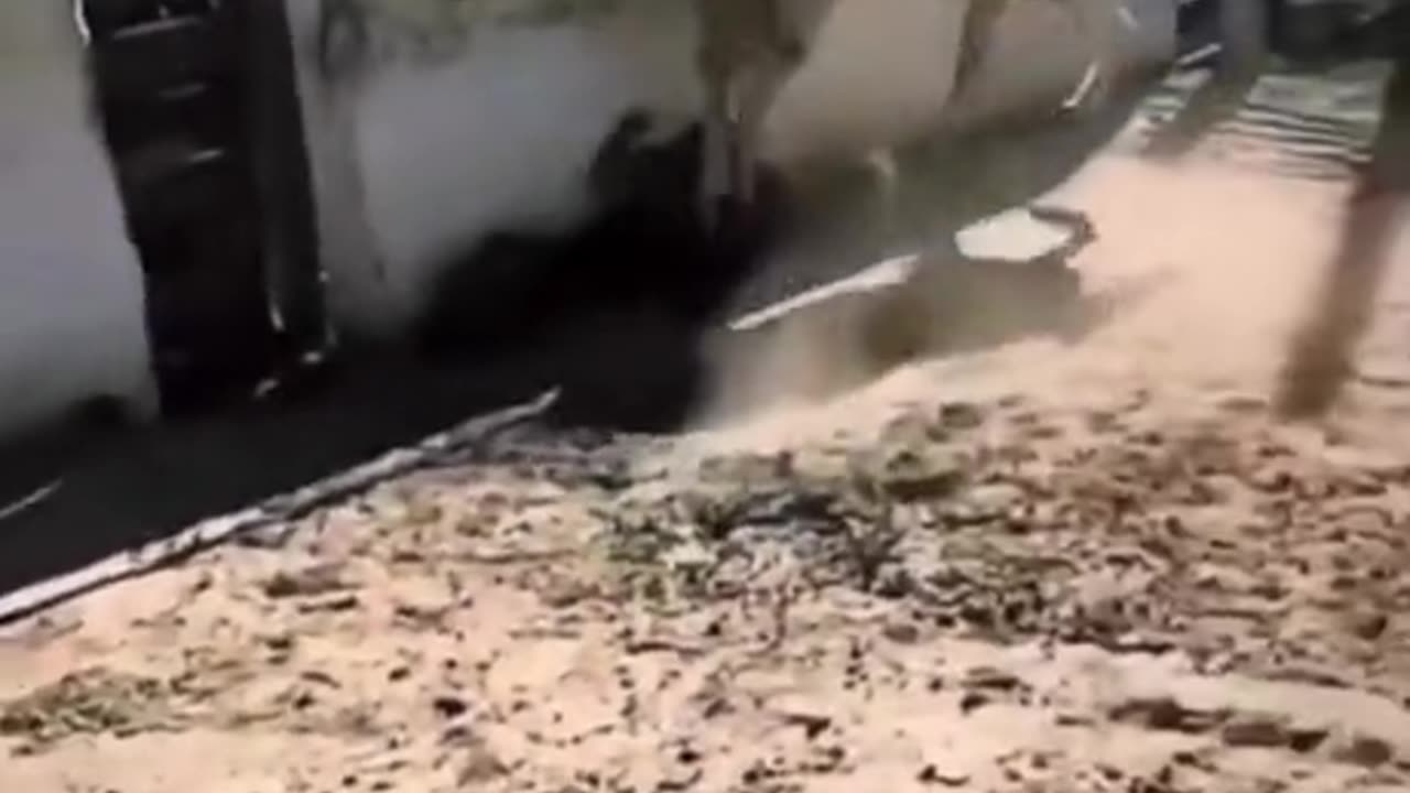 Tis but a scratch