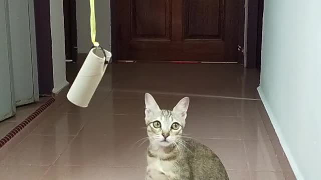 Animal lovers