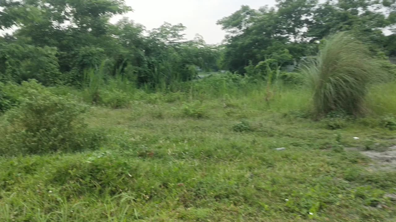 Daudkandi Beautiful place