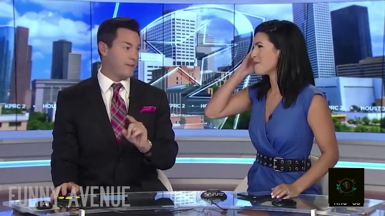 News Reporter Couldn't Stop Laughing at Plane Farts