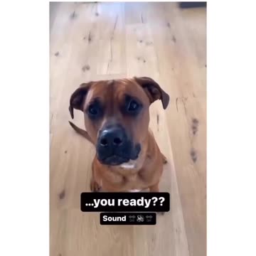 He literally nodded😂