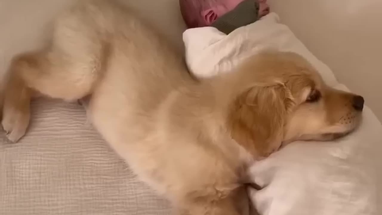 Puppy Sleeps with Baby!