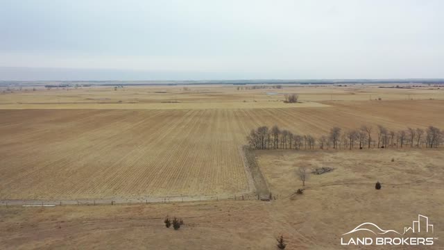 Merrick County Land | Near Palmer, Nebraska | Land Brokers, Inc.