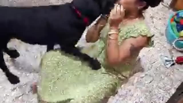 Dog showing love to the owner