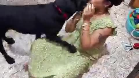 Dog showing love to the owner