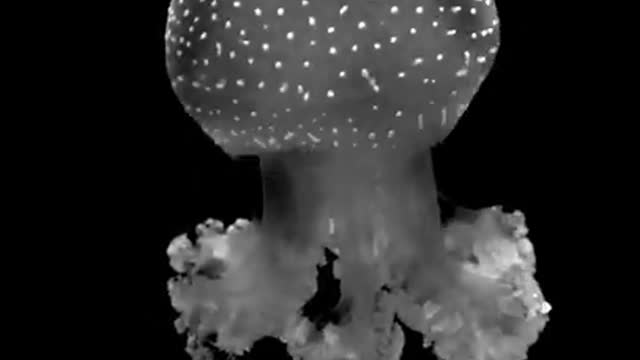 7.A Swimming Jellyfish