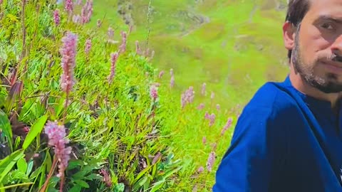 Supat Valley Flowers | My friend Acting rate pose | Beauty's of Supat flowers