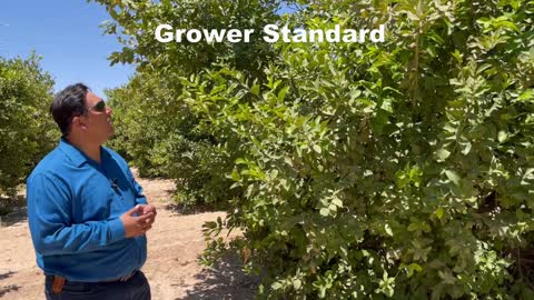 University of Arizona Yuma Ag Farm - A Quick Tour