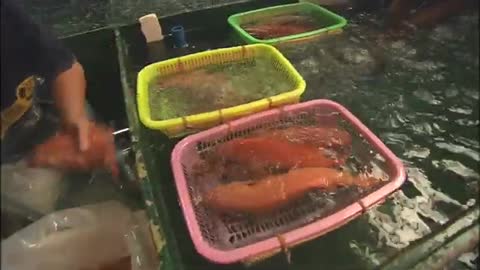 Sustainable Use of Marine Resources