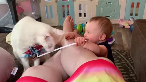 Cutest Babies Play With Dogs And Cats Compilation || Cool Peachy