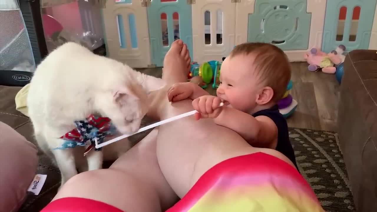 Cutest Babies Play With Dogs And Cats Compilation || Cool Peachy