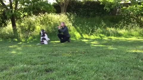 Owner Leads Pet Dog With Flute Who Does Several Tricks
