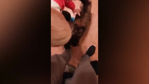 Funny Baby Videos