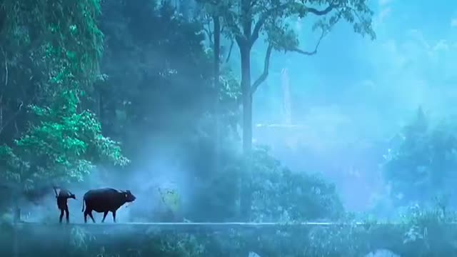 A cow, a man, idyllic life