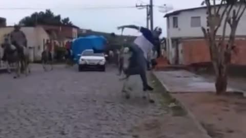 funny vídeo