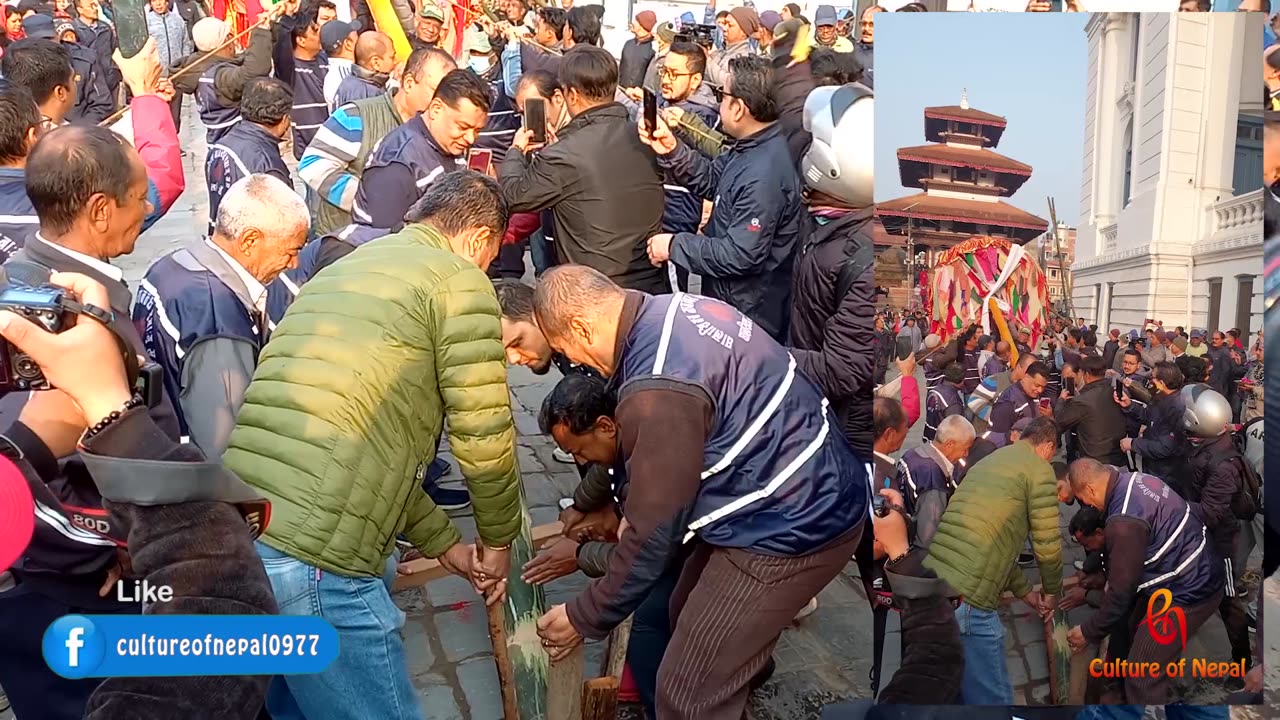 Erection of chir of Holi