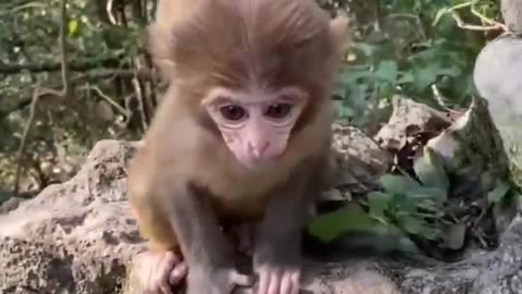 Unbelievable Dance Moves in Short Video