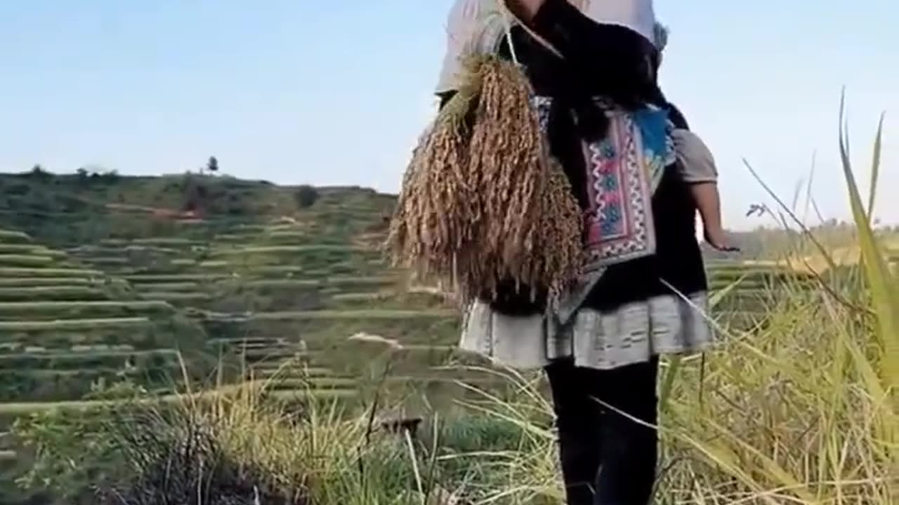 Cô gái vùng cao #102 _ Gánh nặng mưu sinh _ Clip cảm động _