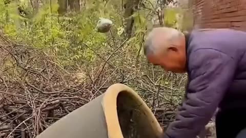 दादा जी ने बचाई अपनी जान