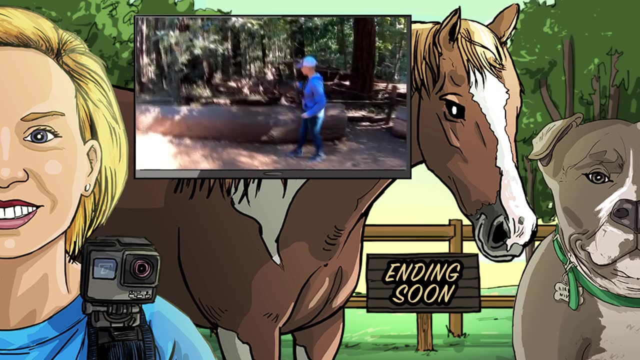 Livestreaming Rescue Dogs at the ARC! [6-9-23] // Grab some coffee and enjoy the sights & sounds