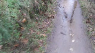 Hiking American River rain
