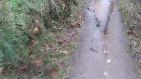 Hiking American River rain
