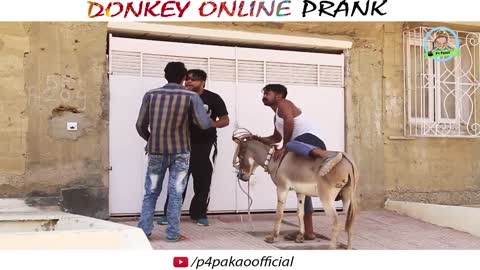 DONKEY ONLINE PRANK By Nadir Ali & Asim Sanata In P4 Pakao 2022