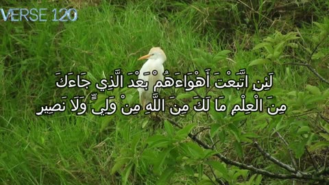 The Covenant and Consequences: An Insight into Surah Al-Baqarah, Verses 111-123