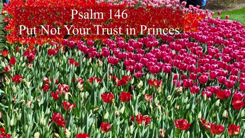 Psalm 146 - ESV Audio