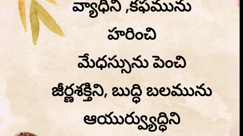 ఉసిరికాయ Amla benefits #amla #benefits #yogi #remidies #vegetables