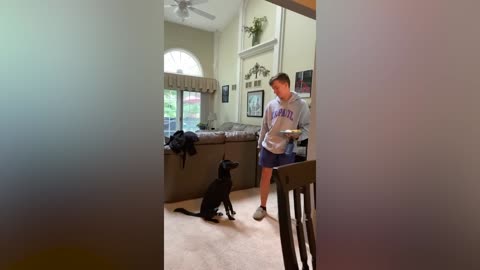 That will make you chuckle Compilation pt. 4